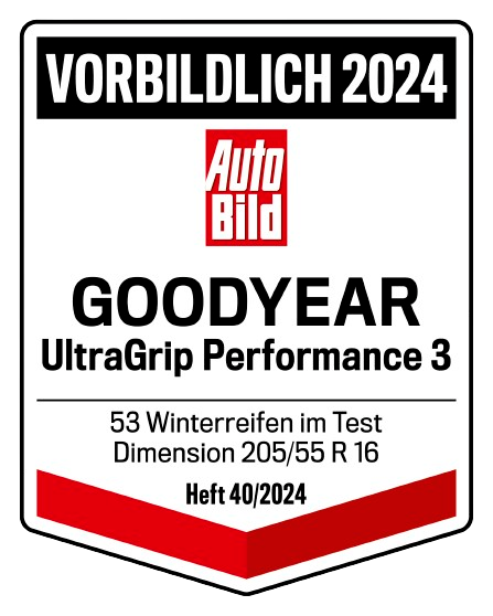 AutoBild Test Vorbildlich 2024 UltraGrip Performance3