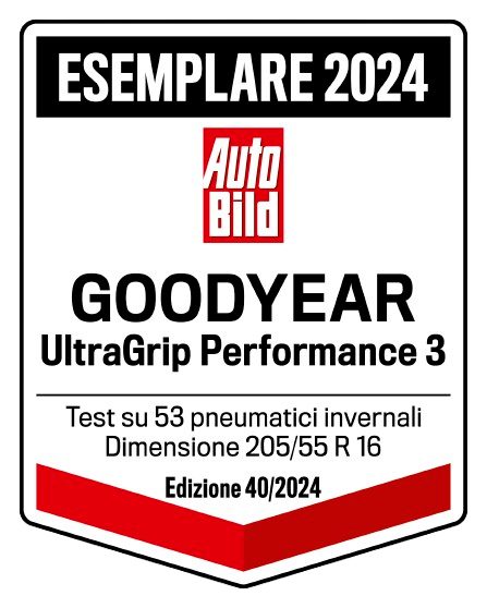 AutoBild Test Vorbildlich 2024 UltraGrip Performance3