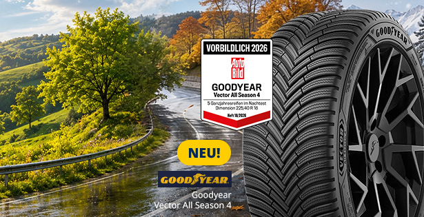 Goodyear Vector All Season 4 online kaufen